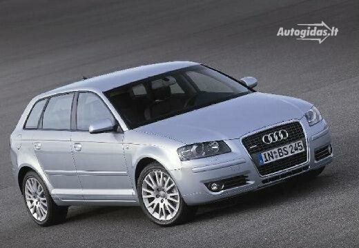 Audi A3 Type 8P 2,0l TDI 103kW (140 hp) Wheels and Tyre Packages