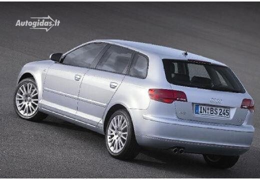 Audi A3 Sportback 1 6 Ambition 2005 2008 Autocatalog Autogidas Lt