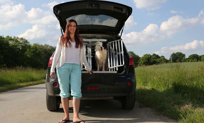 Šuo automobilyje – irgi keleivis