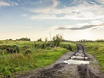 Rinkdami geriausius visureigius, nustatė kainos ir kokybės santykį foto 4