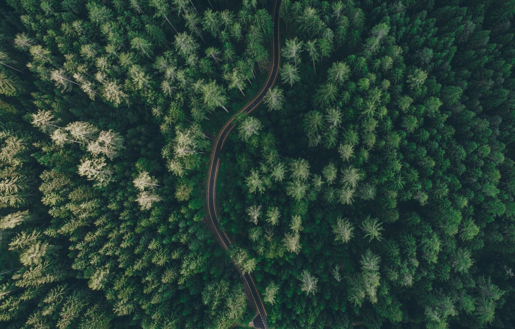 Dviguba biometano nauda Lietuvai: patrauklumas investicijoms ir kova su klimato kaita foto 3