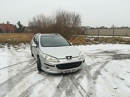 Peugeot 407 2006 m dalys