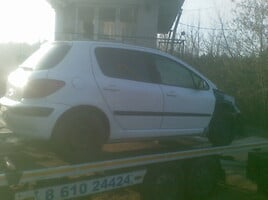 Peugeot 307 I 2004 m dalys