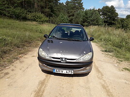 Peugeot 206 2000 m dalys