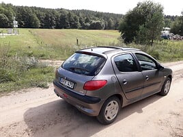 Peugeot 206 2000 m dalys