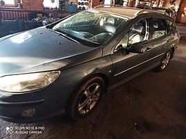 Peugeot 407 2005 m dalys