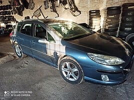 Peugeot 407 2005 m dalys