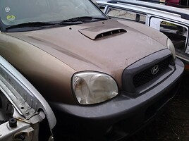 Hyundai Santa Fe Visureigis / Krosoveris 2002