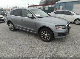 Audi Q5 Visureigis / Krosoveris 2010