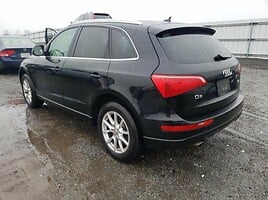 Audi Q5 Visureigis / Krosoveris 2010