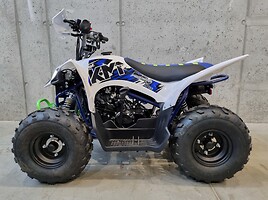 KMT MOTORS RS310 2024 y ATV motorcycle