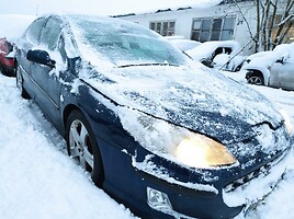 Peugeot 407 Sedanas 2006