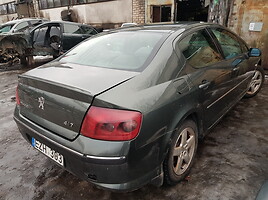 Peugeot 407 2006 m dalys