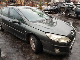 Peugeot 407 2006 m dalys