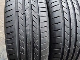 Goodyear R19 vasarinės padangos lengviesiems