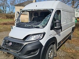 Fiat Ducato 2021 m dalys