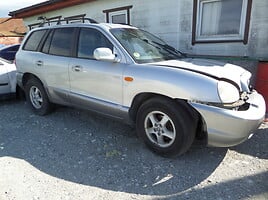 Hyundai Santa Fe Visureigis / Krosoveris 2004