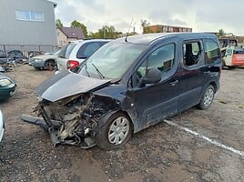 Citroen Berlingo 2009 y parts