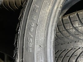 Michelin R21 зимние шины для автомобилей