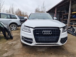 Audi Q5 2013 m dalys