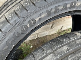 Goodyear R19 vasarinės padangos lengviesiems