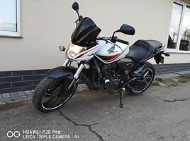 Honda Hornet 2010 y Classical / Streetbike motorcycle