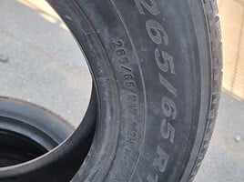 Pirelli Scorpion R17 зимние шины для автомобилей