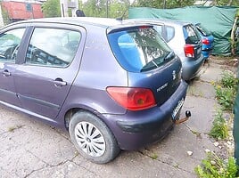 Peugeot 307 2003 m dalys