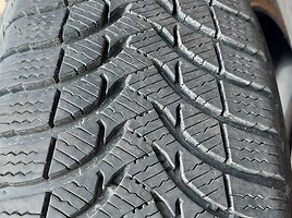 Goodyear R15 зимние шины для автомобилей