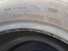 Goodyear R17 зимние шины для автомобилей