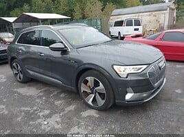 Audi e-tron Visureigis / Krosoveris 2019