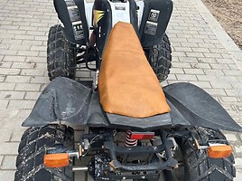 ATV 250cc 2010 г Четырех мотоцикл