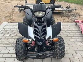 ATV 250cc 2010 г Четырех мотоцикл