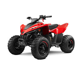 CFMOTO CFORCE 110 2024