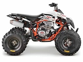 Kayo A300 2025 y ATV motorcycle