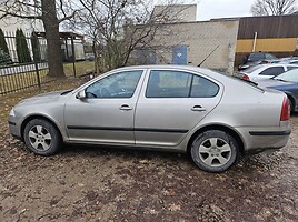 Skoda Octavia 2007 m Hečbekas