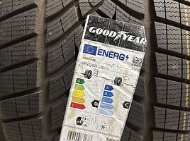 Goodyear R22 