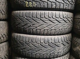 Nokian Didelis pasirinkimas R17 