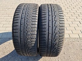 Hankook Winter i'cept evo2 R19 зимние шины для автомобилей