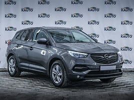 Opel Grandland X 2019 г Внедорожник / Кроссовер