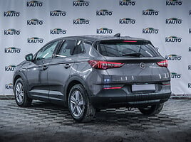 Opel Grandland X 2019 г Внедорожник / Кроссовер