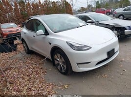 Tesla Model Y Visureigis / Krosoveris 2022