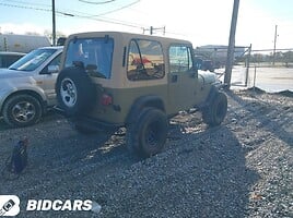 Jeep Wrangler 1995 г Внедорожник / Кроссовер