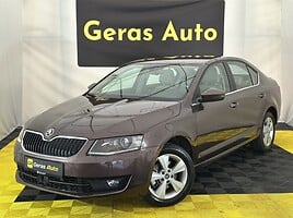 Skoda Octavia Hečbekas 2013