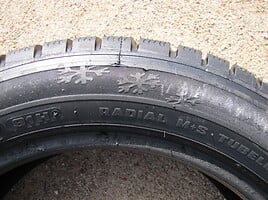 Agi GALGUM ALP 2 R17 winter tyres passanger car