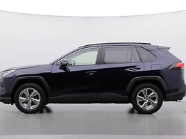 Toyota RAV4 2019 m Visureigis / Krosoveris