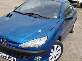 Peugeot 206 2003 m dalys