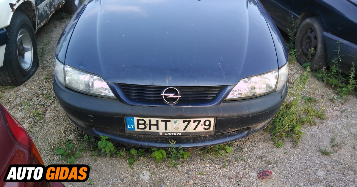 Opel Vectra B 1998 Y Parts | Advertisement | 1023551181 | Autogidas