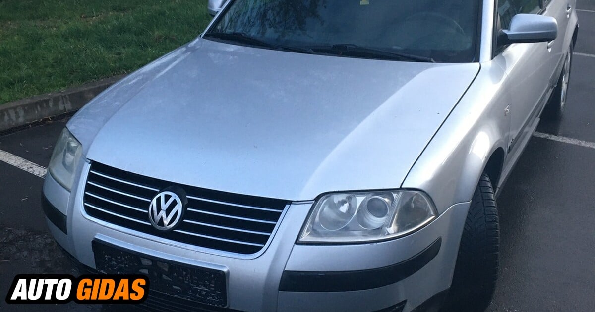 Volkswagen Passat B5 FL 2001 M Dalys | Skelbimas | 1024005818 | Autogidas