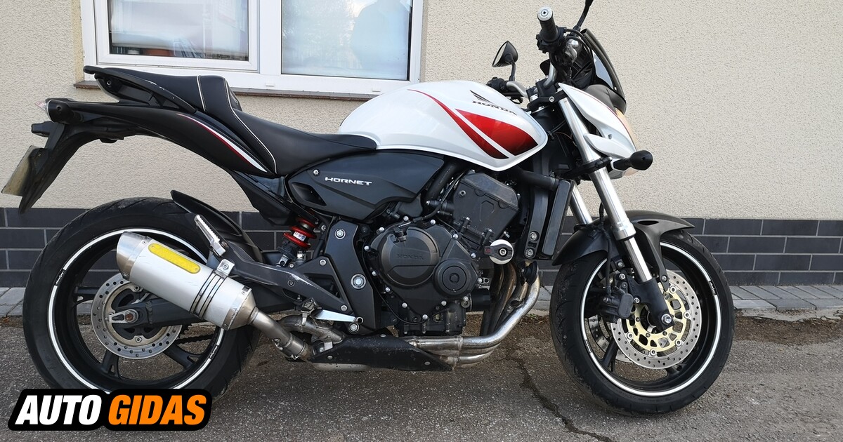 Honda Hornet M Klasikinis Streetbike Motociklas Skelbimas